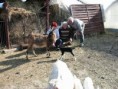/album/meeeee/snimek-017-jpg/